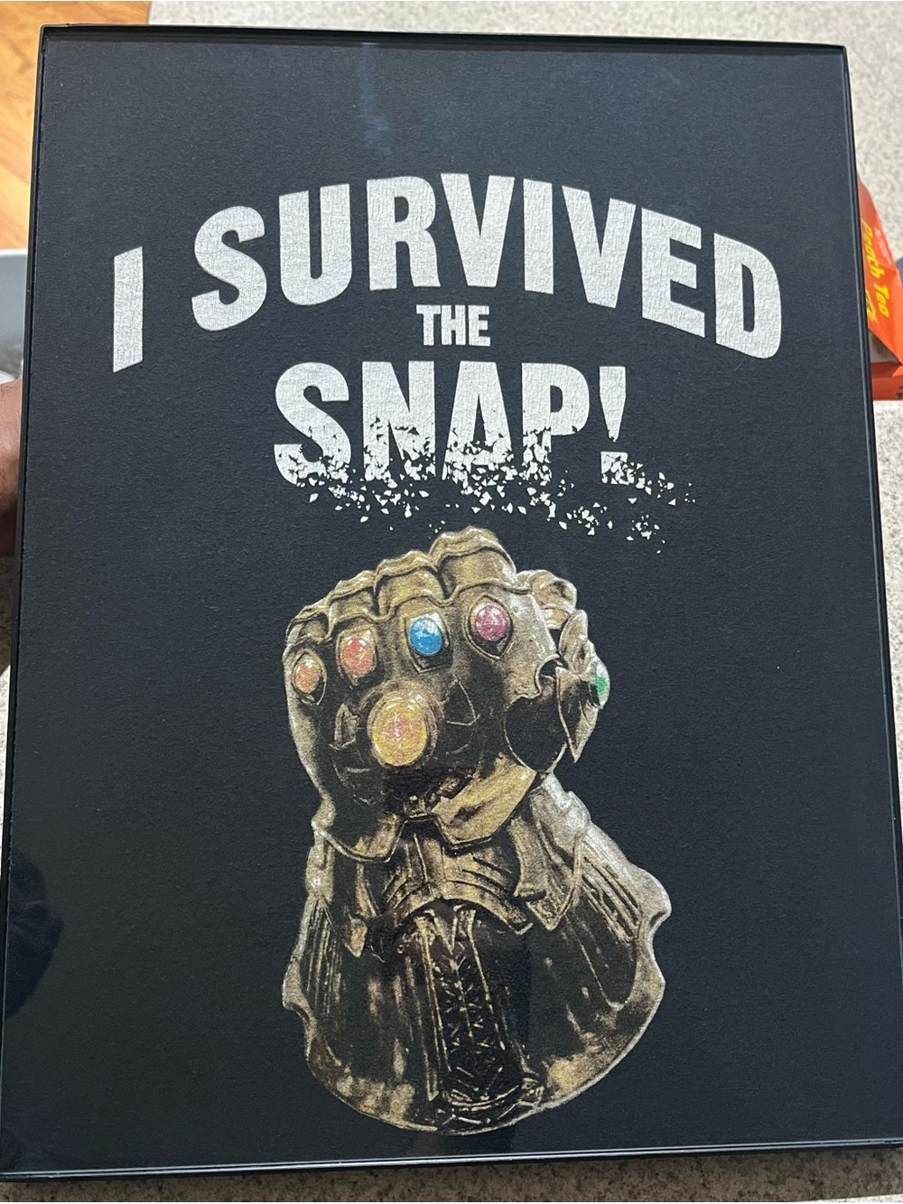 Thanos “I Survived the Snap” Framed Wall Art – 12×16
